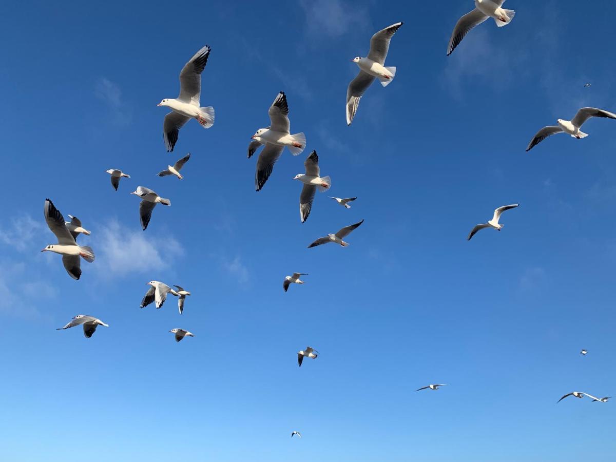 Seaside Park Apartamenty Prywatne Z Widokiem Na Morze 科沃布热格 外观 照片